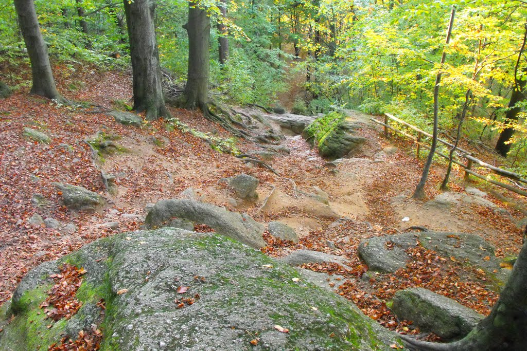 Szlak Turystyczny na Zamek Chojnik PL 16-10-2011 by Daniel_Foto