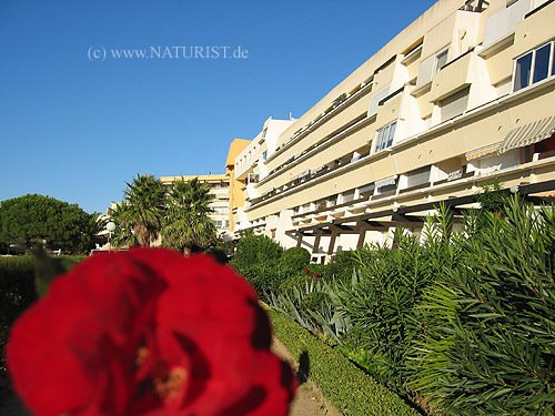 Cap d'Agde, View to Port Nature part 8,7,6,5 by alex-fischer