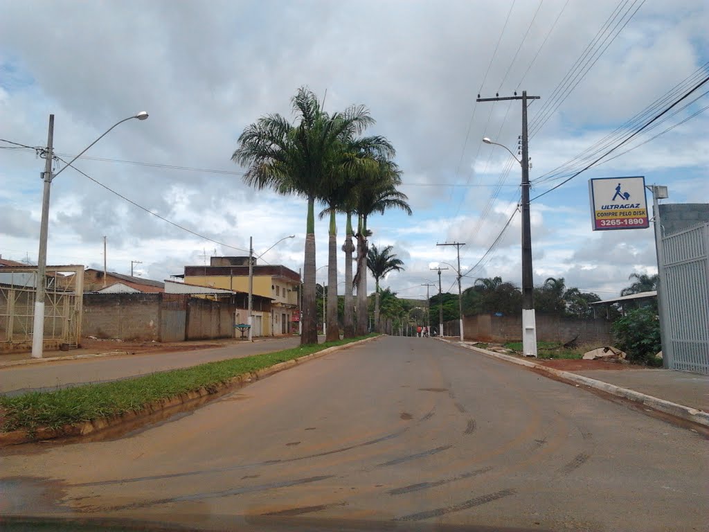 Avenida Barão da Boa Esperança by WOP-TP