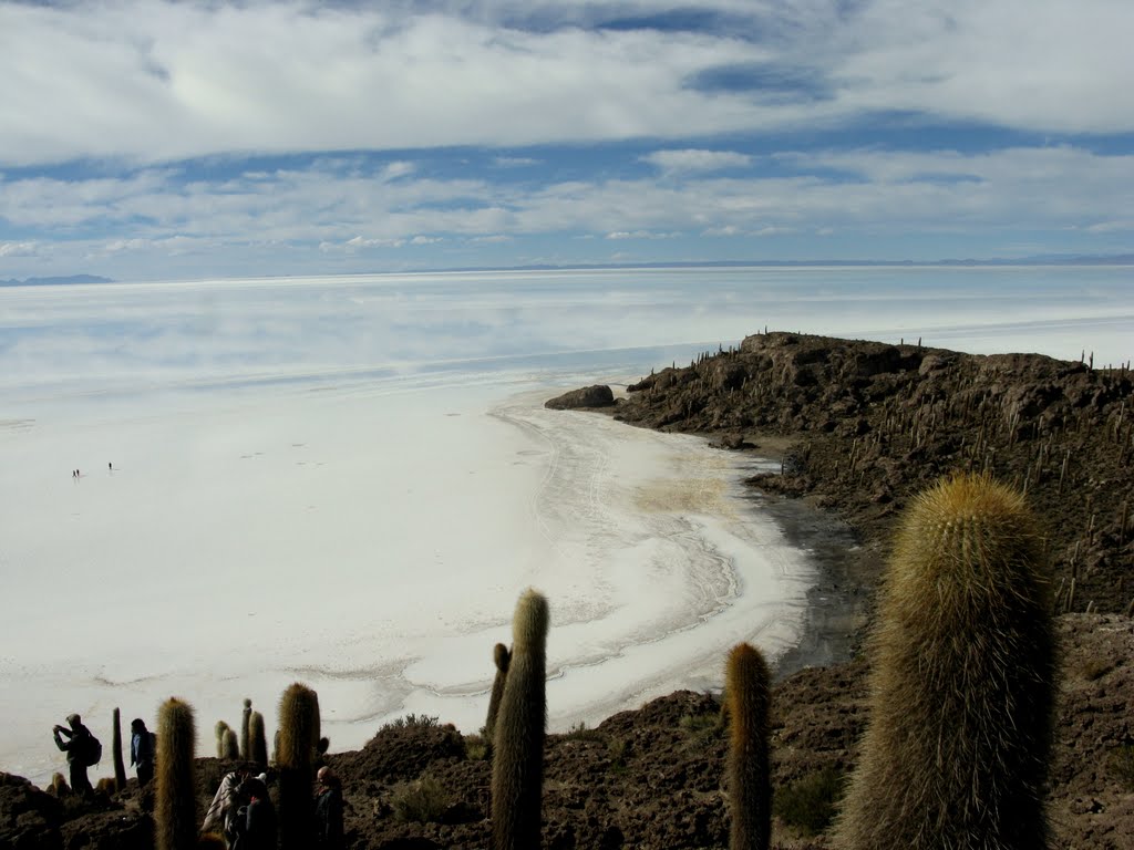 Salar de Uyuni, Bolivia - Isla Inca Huasi by Andrea Marbian