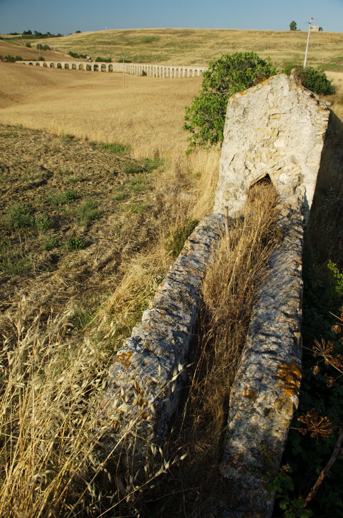 Tarquinia, Province of Viterbo, Italy by Jaroslav Houdek