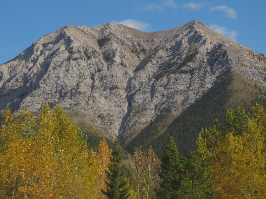 Contrasting Golden Trees, Grey Rock And Blue Skies At Ribbon Creek In Kananaskis Country West of Calgary Sep '11 by David Cure-Hryciuk