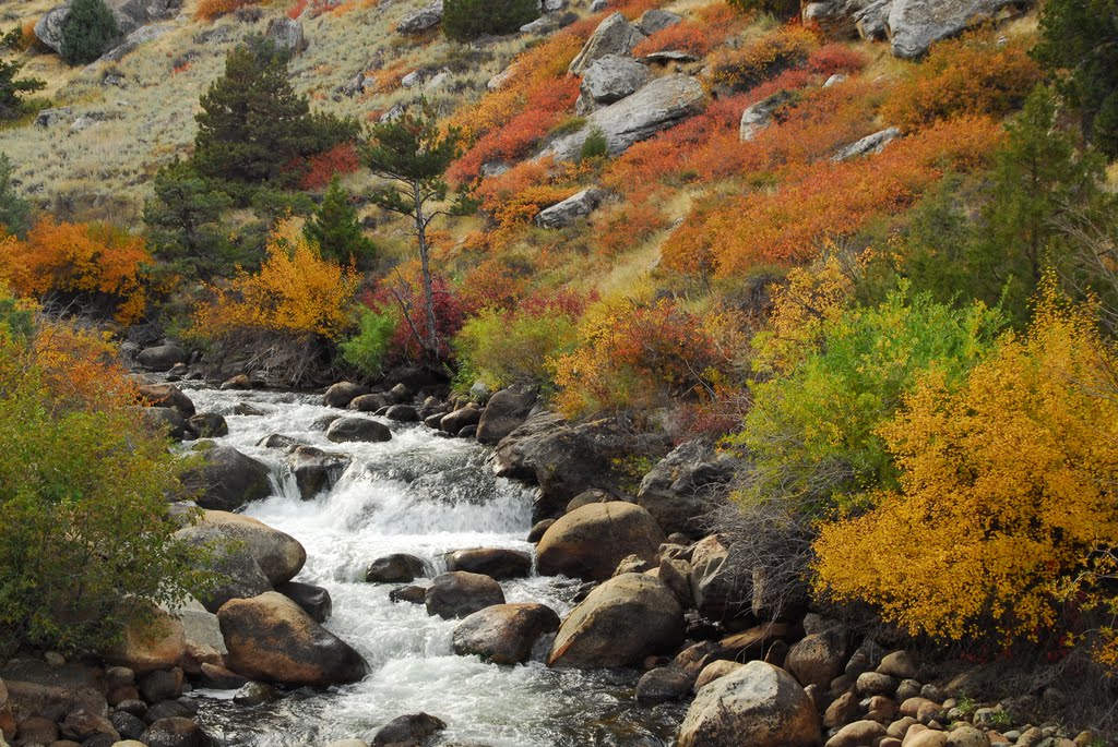 The Popo Agie River in Sinks Canyon State Park, Lander, Wyoming by JohnDrew2