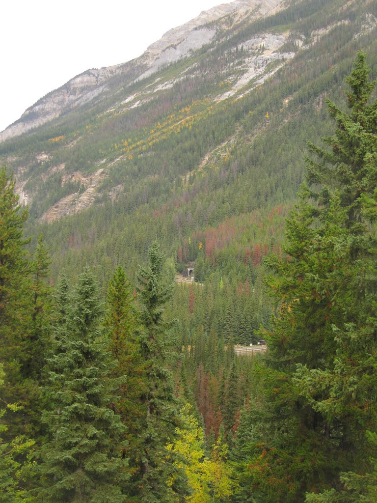 The Canadian Pacific Railway Spiral Tunnels Naturally Framed In Yoho National Park BC West of Banff AB Sep '11 by David Cure-Hryciuk