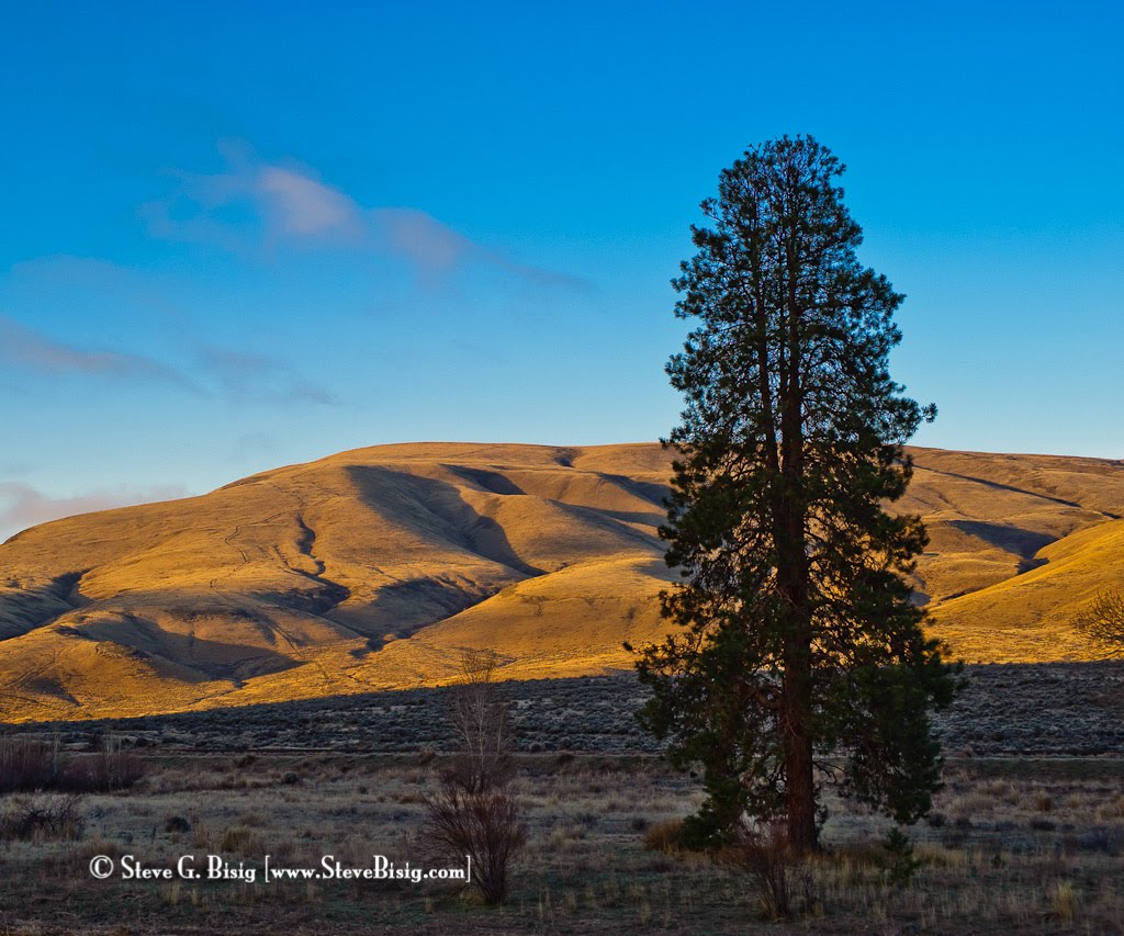 Morning Sun in the Yakima River Canyon by Steve G. Bisig