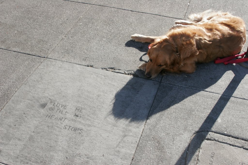 Love Me Until My Heart Stops, Mission District, San Francisco CA 2006 by JPS Photography/John…