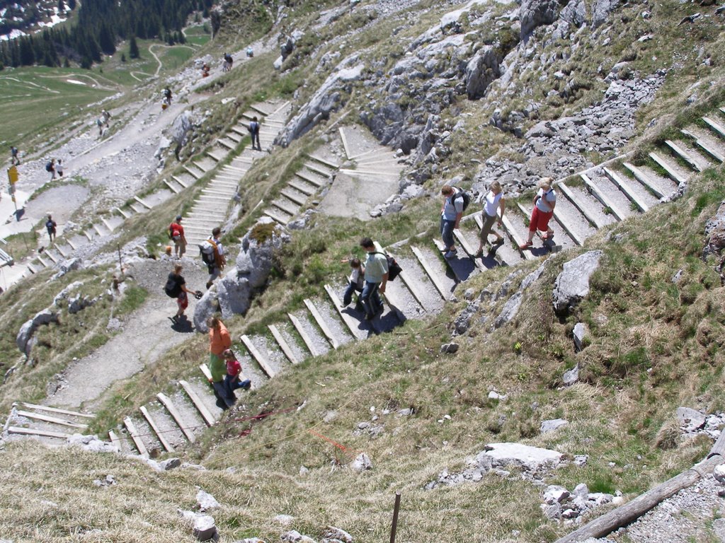 Stockhorn-Treppe by manfred huegli