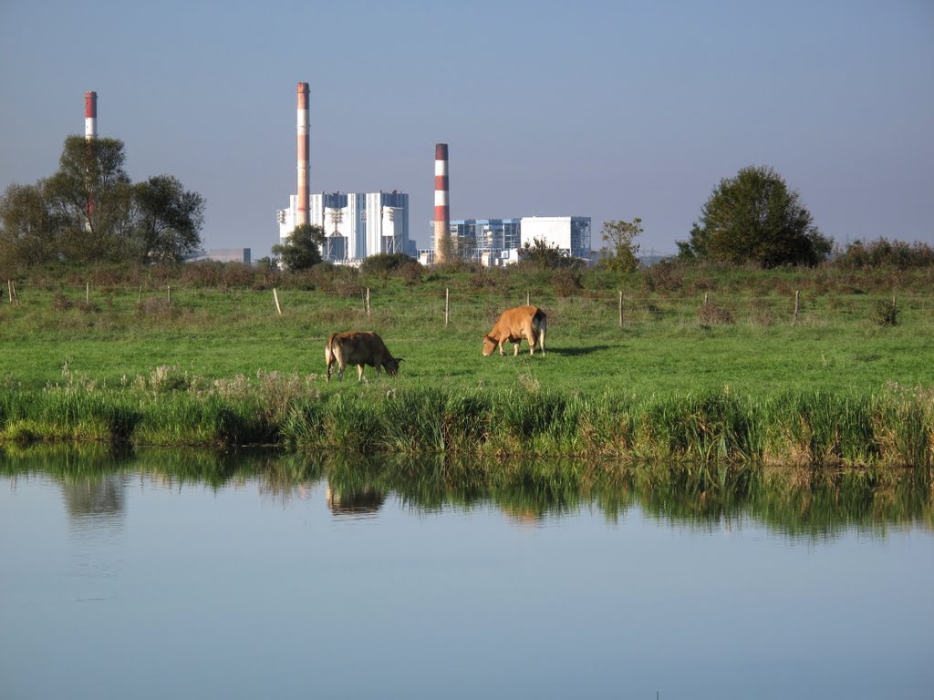 Vue pastorale sur fond d'industrie. by luminem