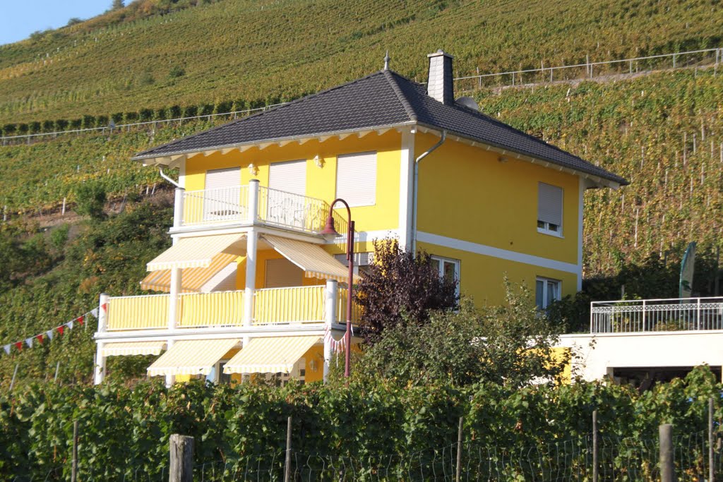 Gelbes Haus in Ediger-Eller/Mosel, by SAUERLAND