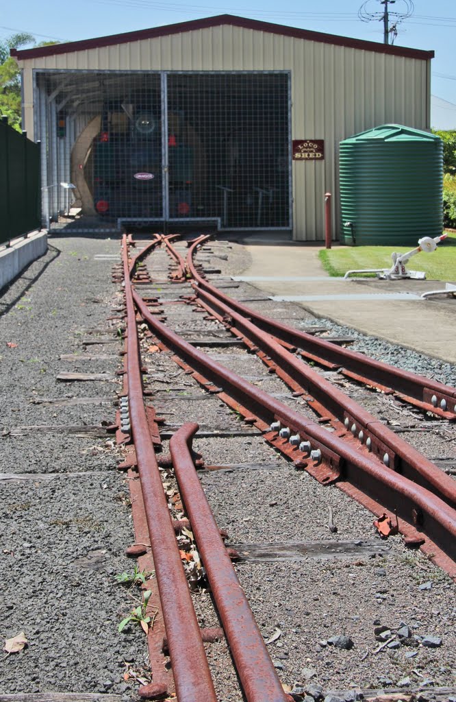 Loco Shed. Nambour by nopo