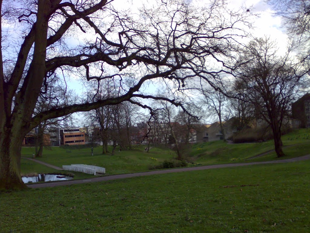 Aarhus - Universitetsparken by Dora Dragoni