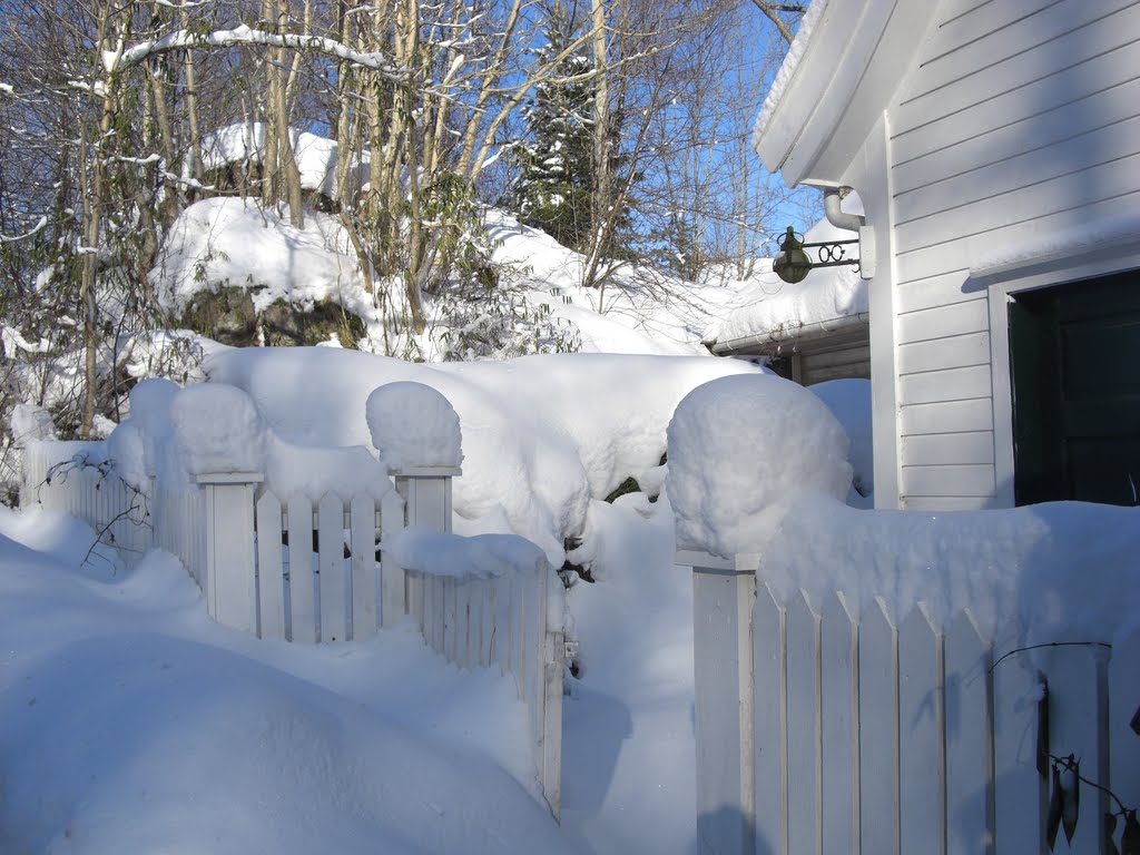 A nice fence decorated with snow by Mona Lygre