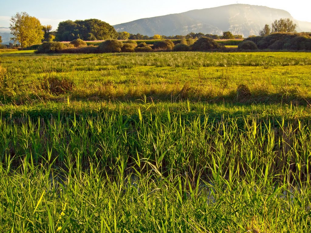 Vue sur le Mont-Salève depuis le Marais de Sionnet by sucurix