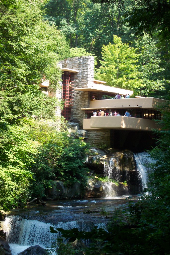 Fallingwater by Knewt