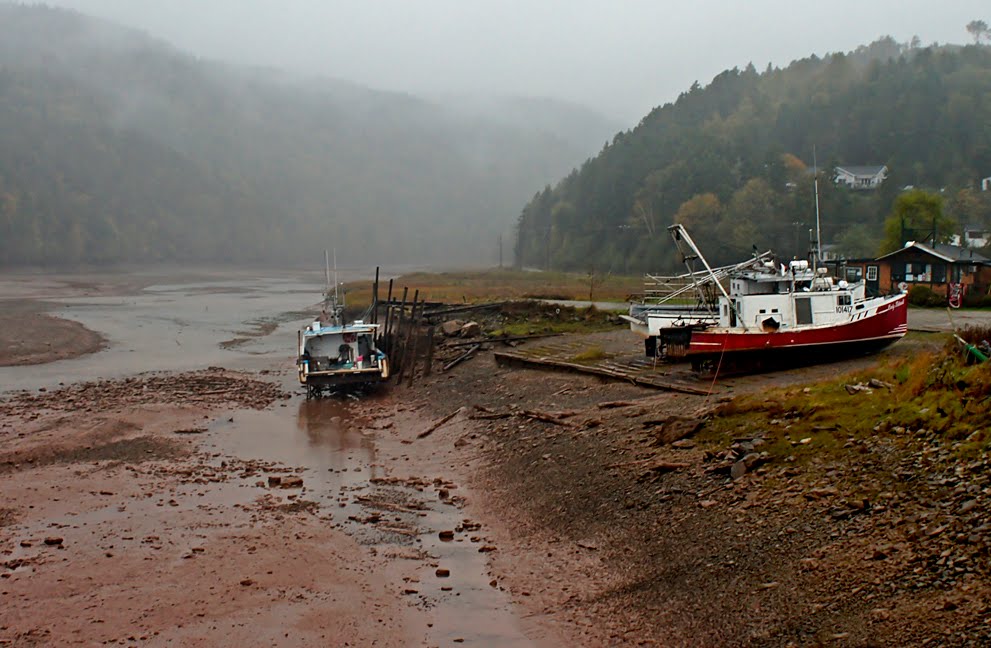 Low Tide & Fog, Alma NB by Chuckels