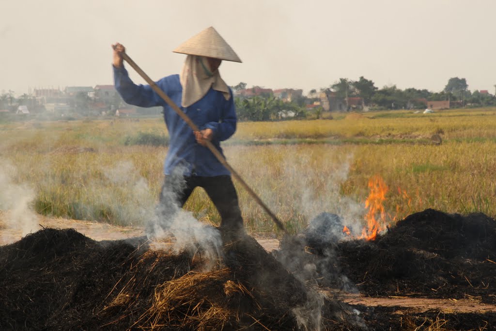 HÀ NỘI - QL32 ngày mùa. Đốt rơm rạ lấy tro by Đăng Định