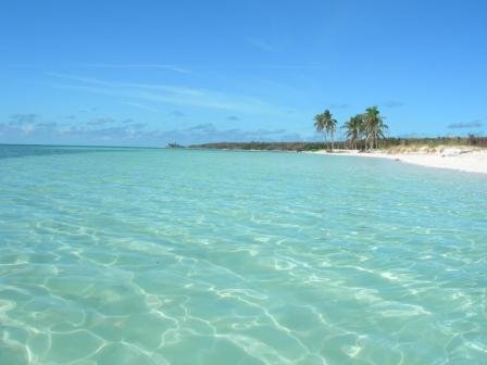 Cococay Paradise by Whynot