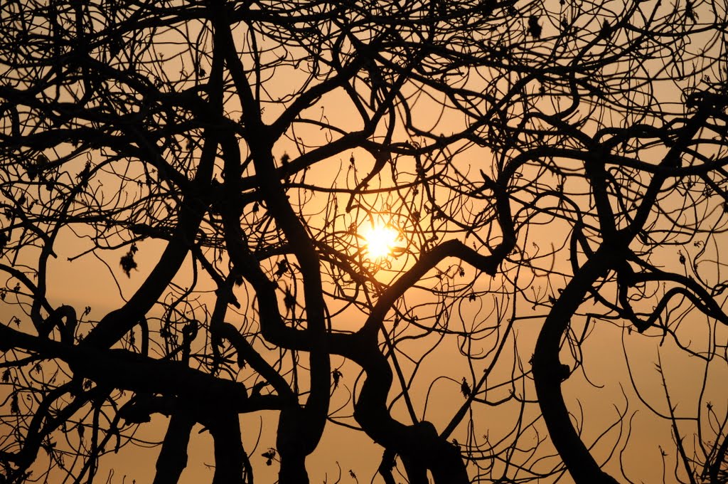 Playground sunset by Siu Ki Lee