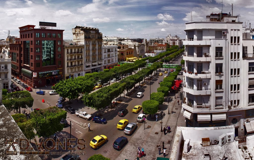 Avenue Habib Bourguiba, Gouvernorat de Tunis, Tunisie by d.vones by www.d-vones.book.fr/