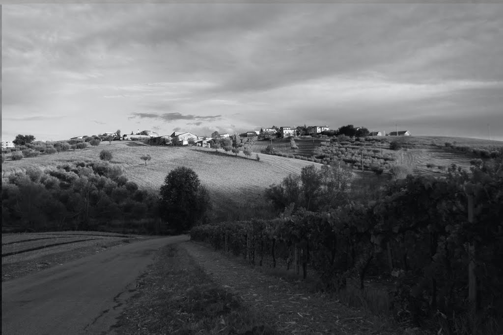 Campagna d'Abruzzo by di turi domenico