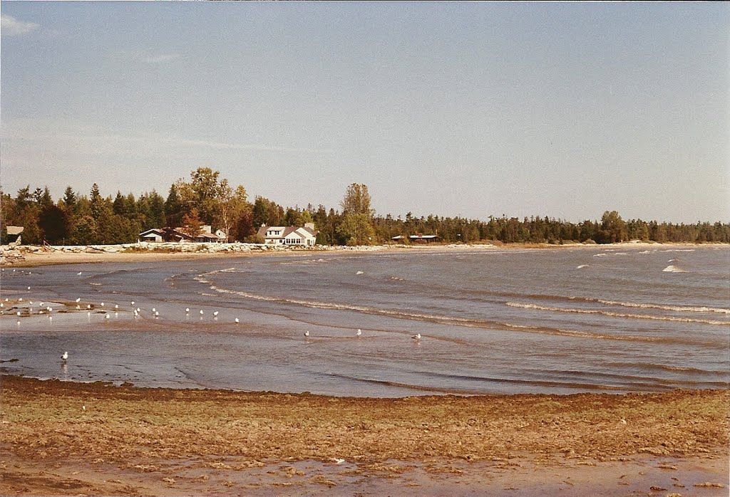 Door County Lake Shore by rutschke.jr