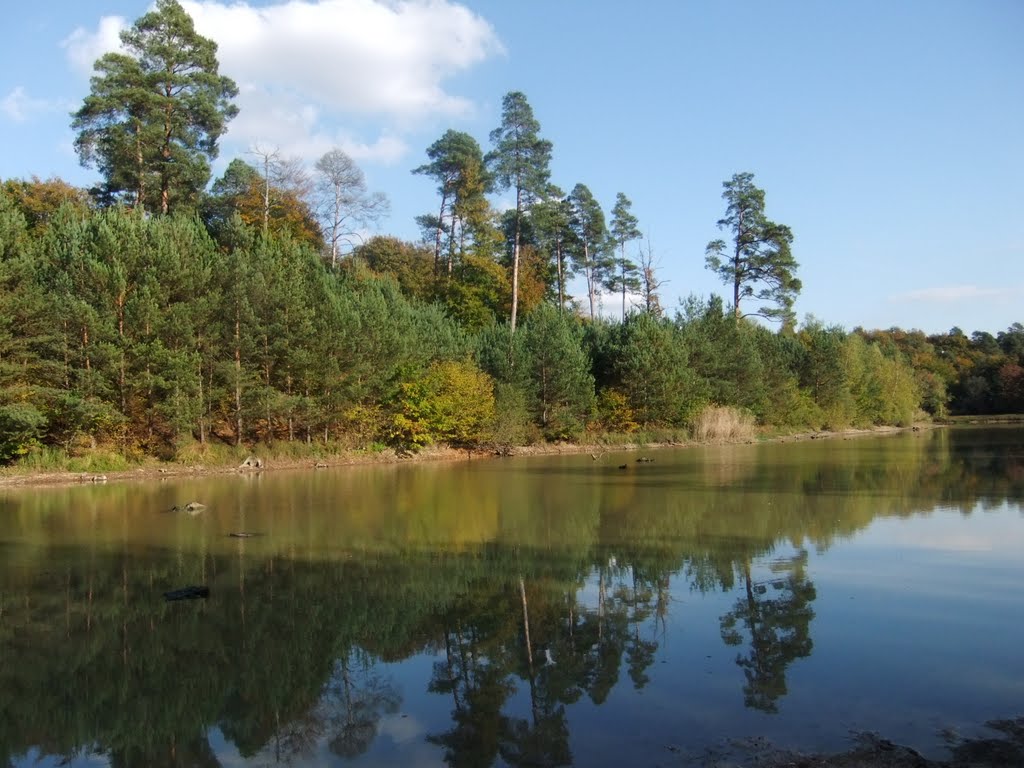 Etang du Chalam (Forêt-de-Chaux) by hubert39