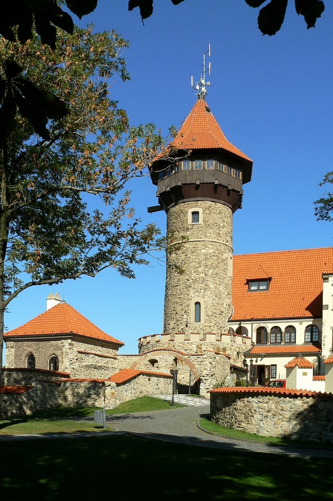 Most (CZ) - Die Burg Hnĕvin auf der Spitze eines Kegelberges (399m) (Südwestansicht) by Thomas Eichler