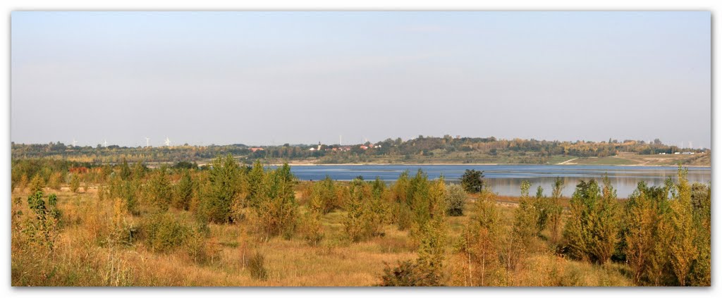 Herbst am Geiseltalsee by wdittner