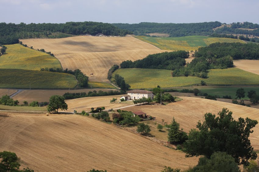 Belle maison dans les champs by Philoup