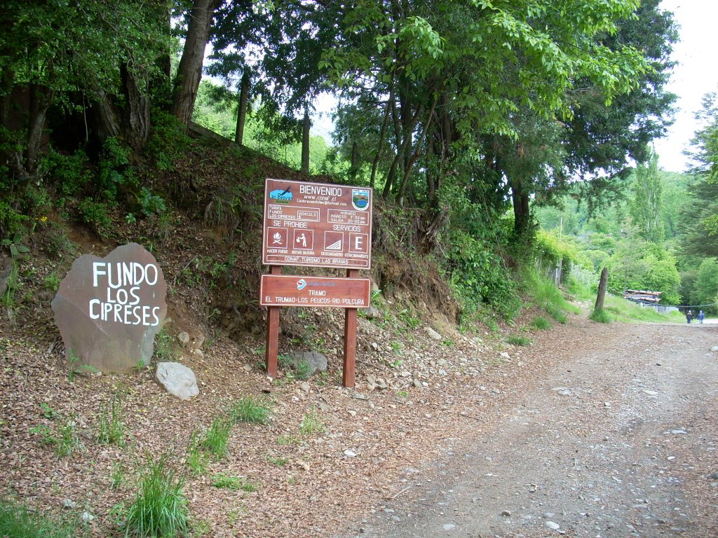 Entrada al Fundo Los Cipreses by phyllis tebbs