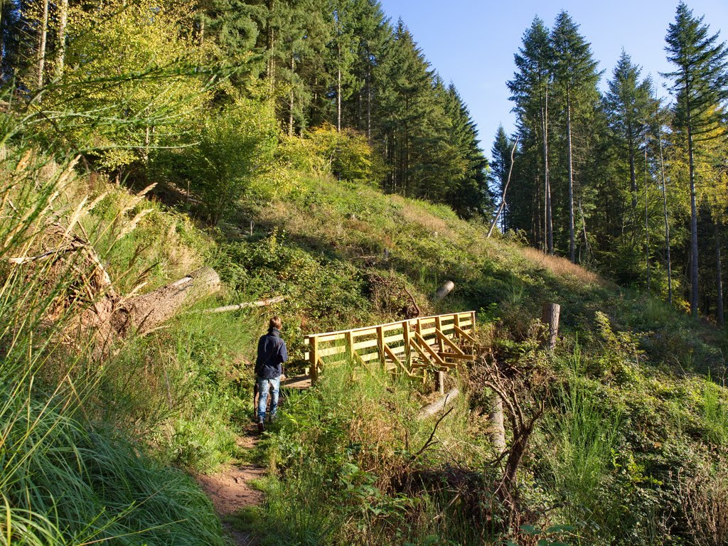 Brücke am Oppig-Grät-Weg by Stadtwaldförster