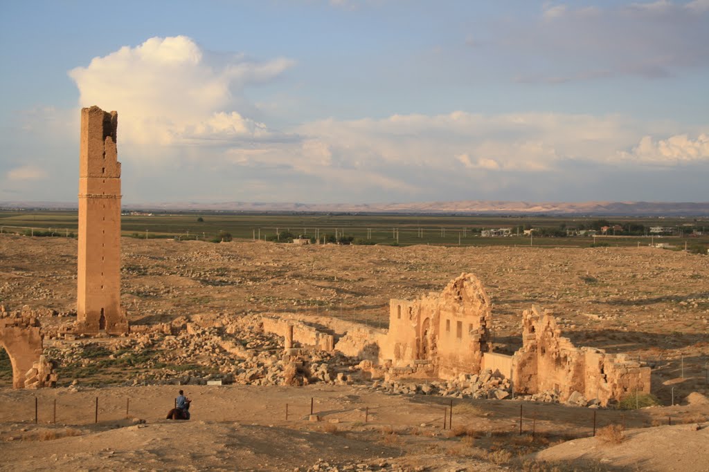 Harran Şanlıurfa by foreks34