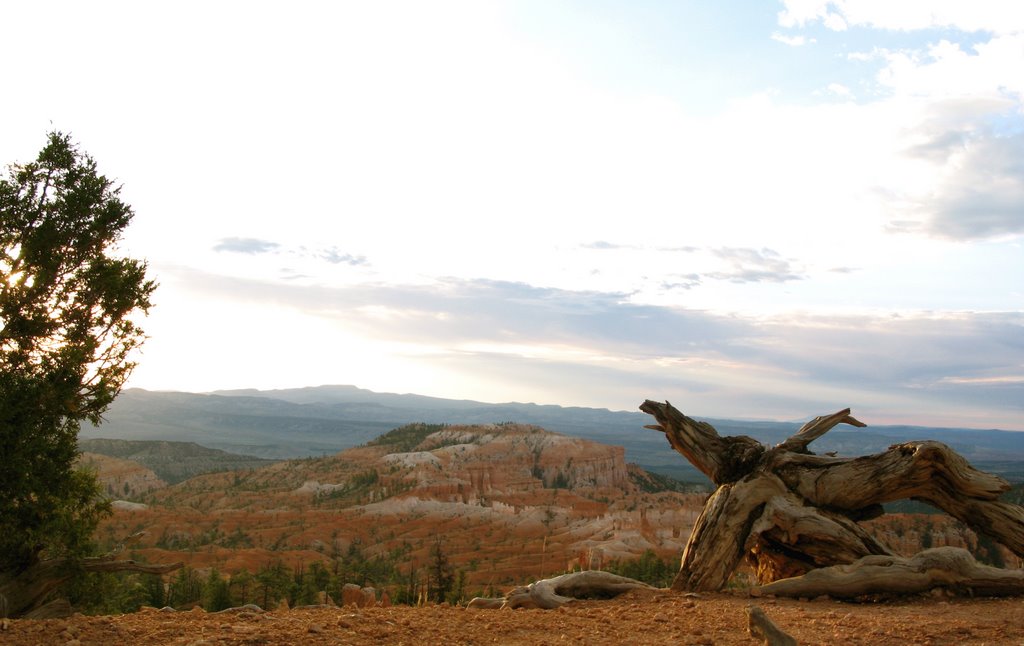 bryce canyon by Nobuhiko Yoshida (Ti…