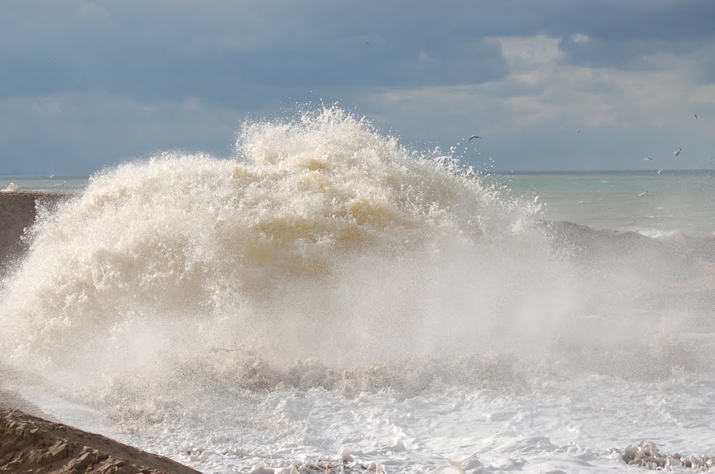 Da ist das Wasser ! - There is the water ! by Lecleire Jacques (2)