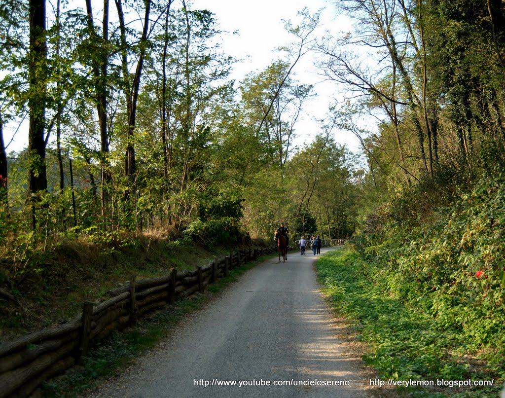 PARCO DEL MEDIO OLONA - FAGNANO by C E S A R E R I C C …