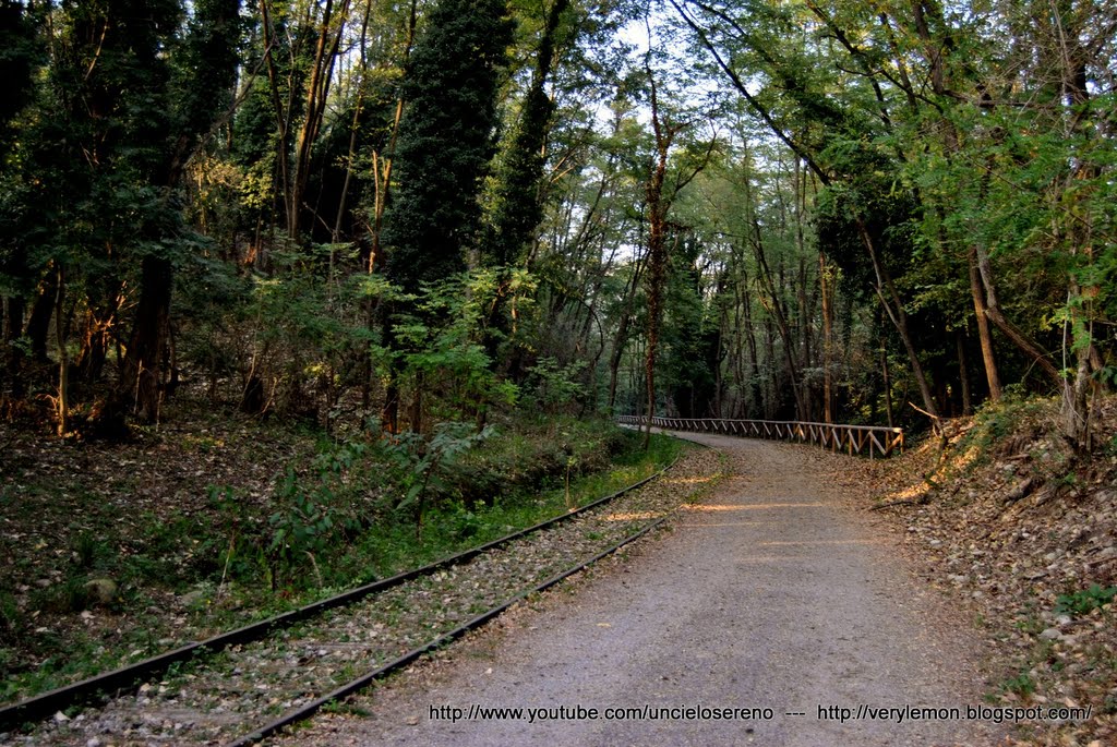 PARCO DEL MEDIO OLONA - FERROVIA VALMOREA by C E S A R E R I C C …