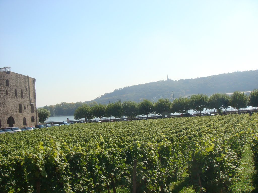 Beydoun family in rudesheim by salim beydoun