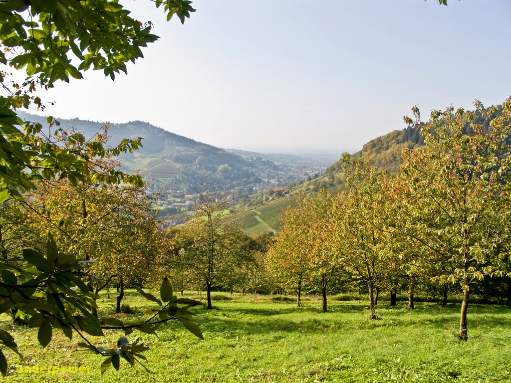 Blick vom Mühlenweg über Kappelrodeck nach Westen by bauerpower