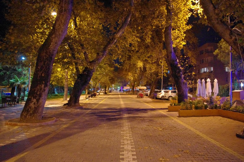 Yalova sahil yolu by Hikmet CUR