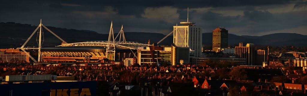 Evening over rooftops 1 by fat-freddies-cat