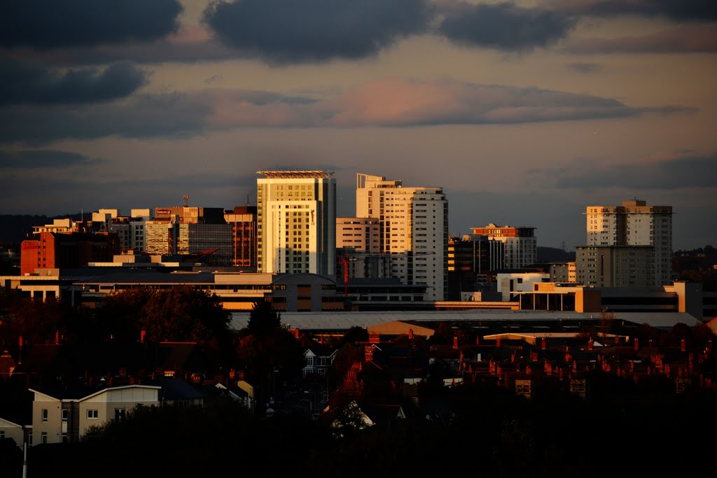 Evening over rooftops 2 by fat-freddies-cat