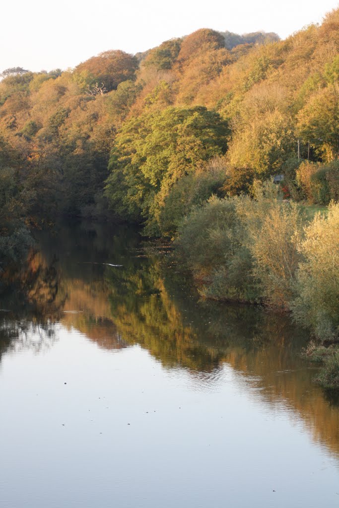 River Usk - Autumn by David Owen