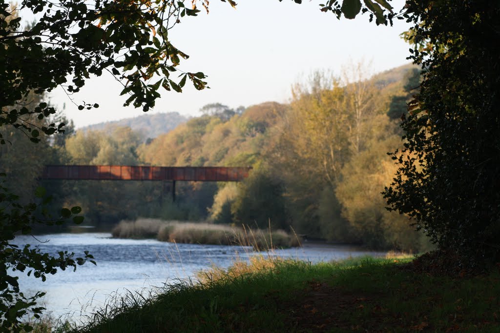 Usk Railway Bridge by David Owen