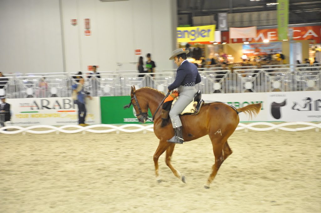 Passo andaluso-Doma vaquera-Fiera del cavallo Rho-Milano by cristina.ciutan