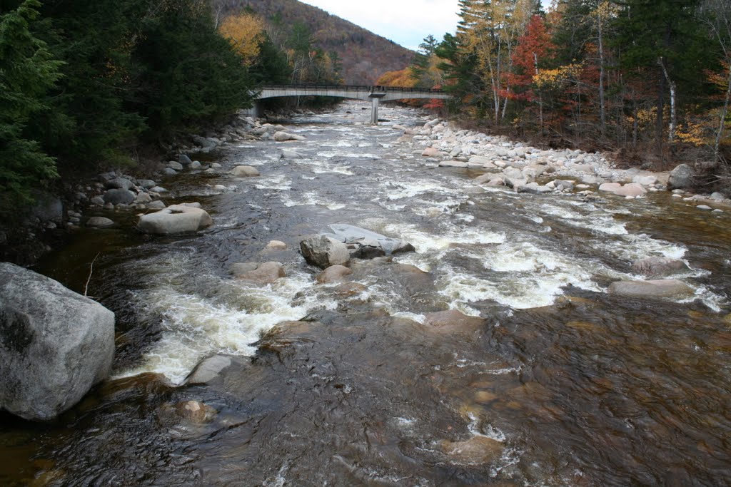 View from the trail bridge by Mike Kennedy