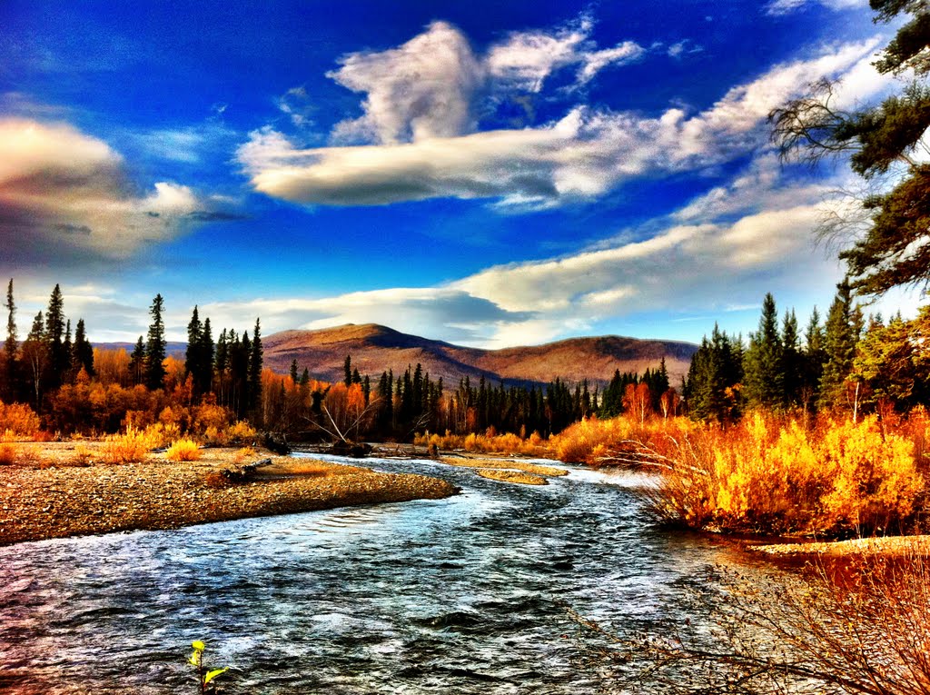 Chena River State Recreation Area by kimbenk