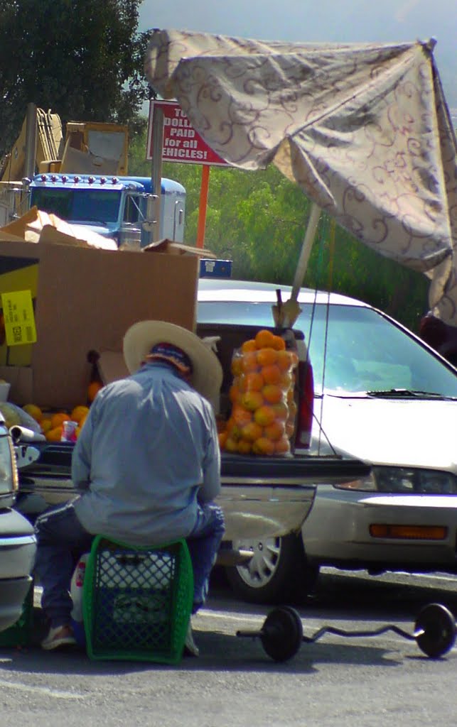 Orange seller by Virginia Keith