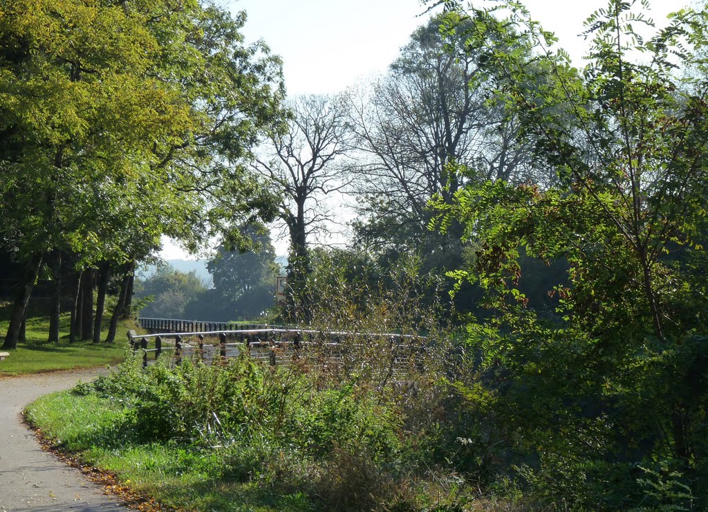 Ranchot - bords du canal by Sylvie MAUGRAS VINCENT