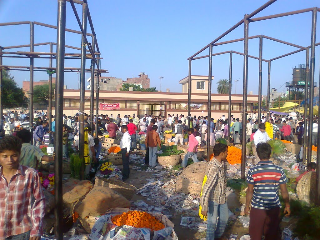 Whole sale flower market at Gazipur by suchitaxaxa