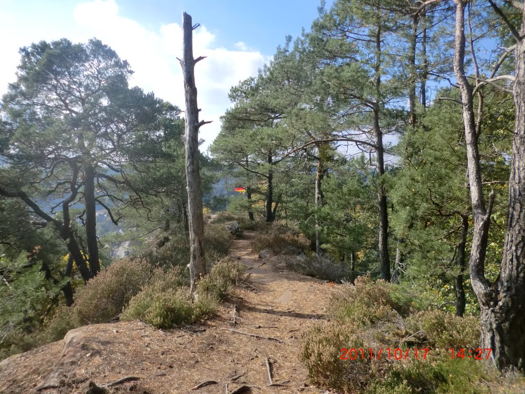 Weg zur Gipfelplatte am Neding by Andreas Deutscher